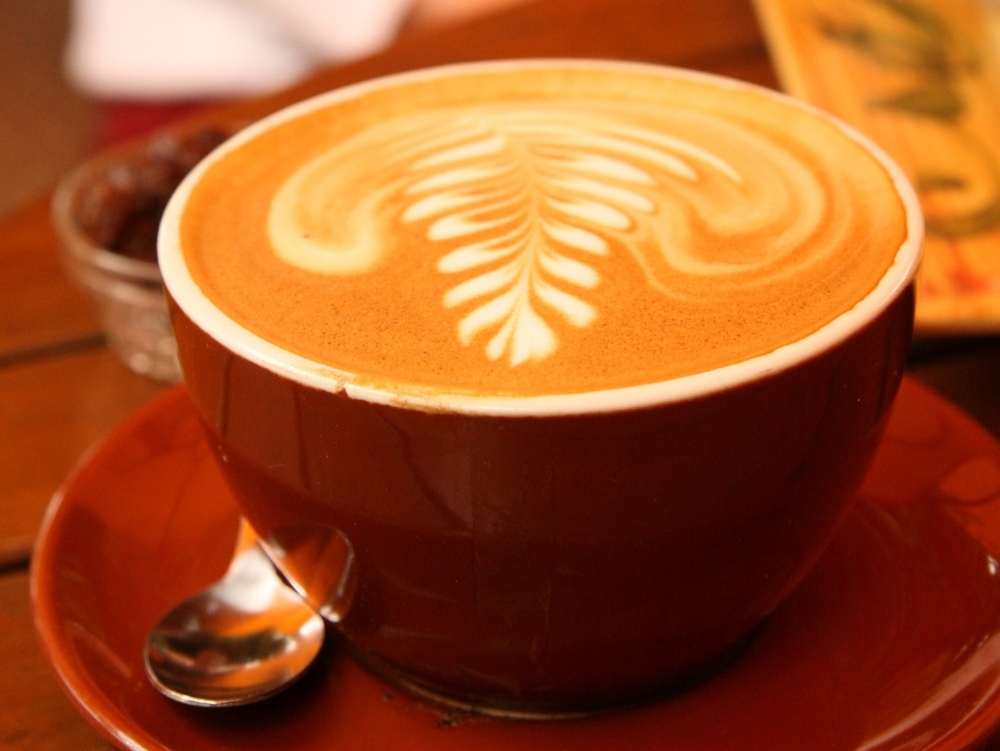 Caffe Sữa